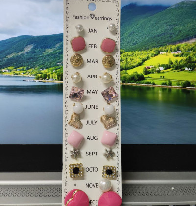 11 Pair Earrings Comb Set